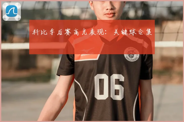 科比季后赛高光表现：关键球合集