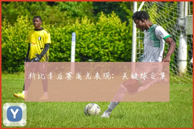 科比季后赛高光表现:关键球合集